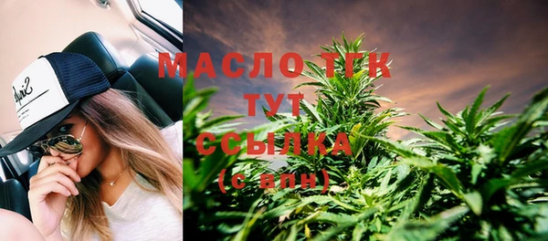 прущие грибы Бородино