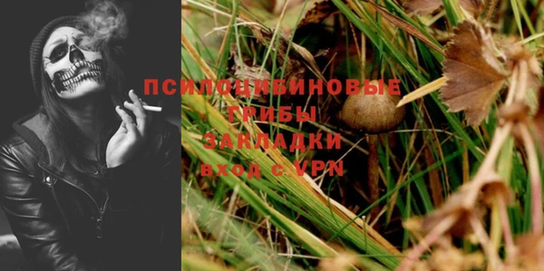 прущие грибы Бородино