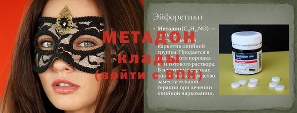 прущие грибы Бородино